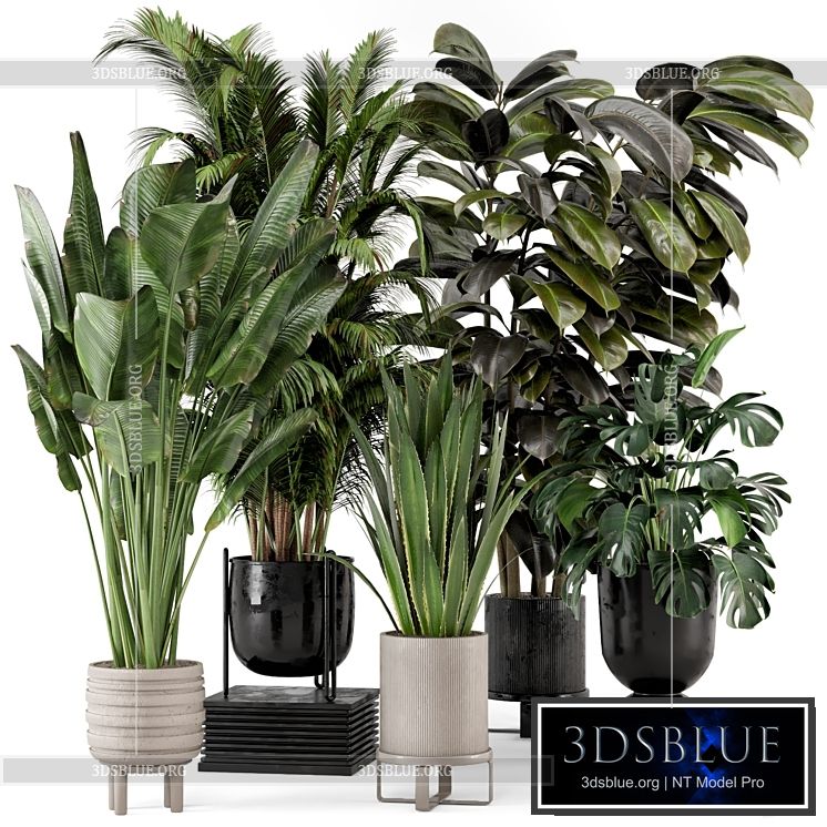 Indoor Plants in Ferm Living Bau Pot Large – Set 572 3DS Max - thumbnail 3