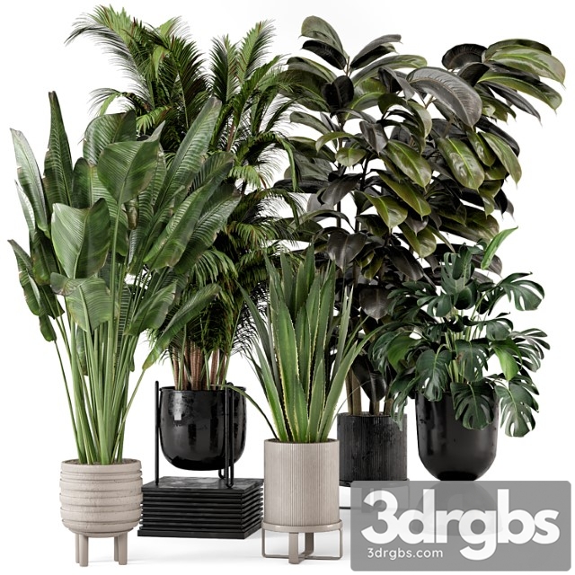 Indoor plants in ferm living bau pot large – set 572 - thumbnail 1