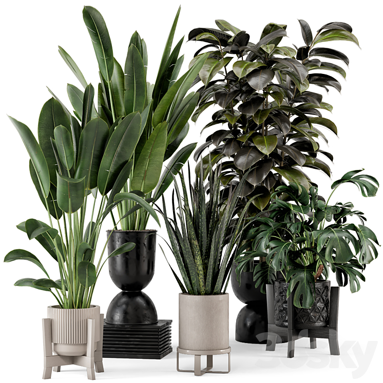 Indoor Plants in Ferm Living Bau Pot Large – Set 583 3DS Max Model - thumbnail 1