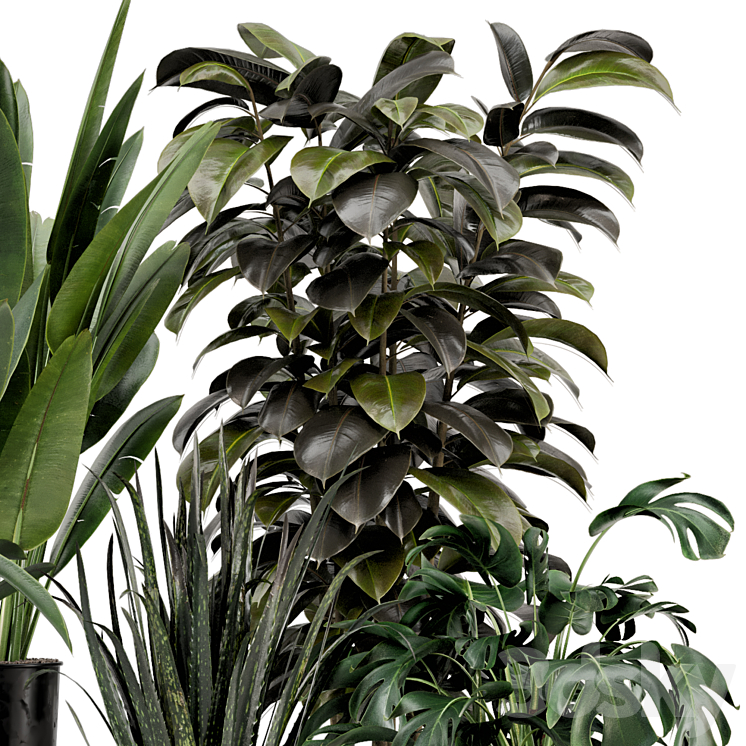 Indoor Plants in Ferm Living Bau Pot Large – Set 583 3DS Max Model - thumbnail 2
