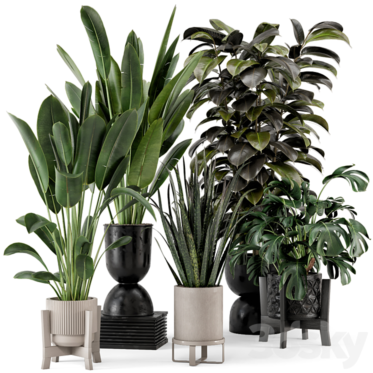 Indoor Plants in Ferm Living Bau Pot Large – Set 583 3DS Max - thumbnail 1