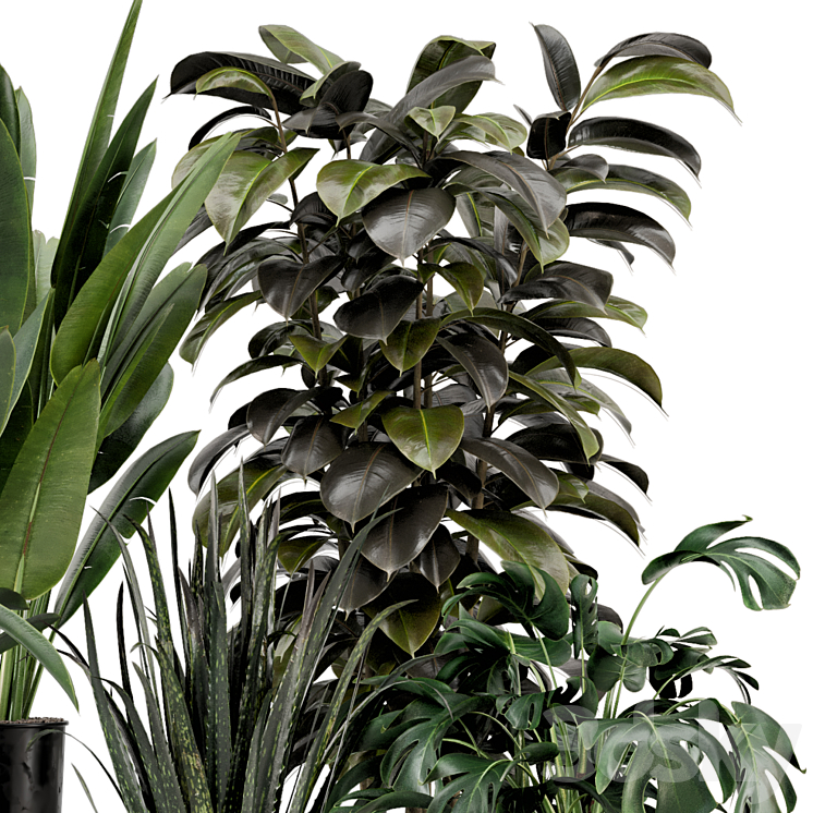 Indoor Plants in Ferm Living Bau Pot Large – Set 583 3DS Max - thumbnail 2