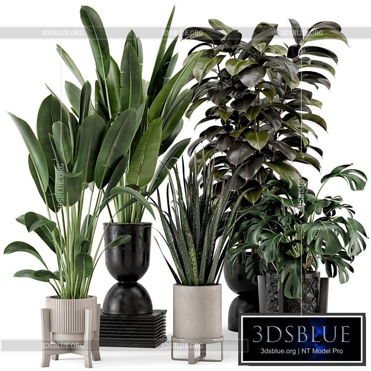 Indoor Plants in Ferm Living Bau Pot Large – Set 583 3DS Max - thumbnail 3