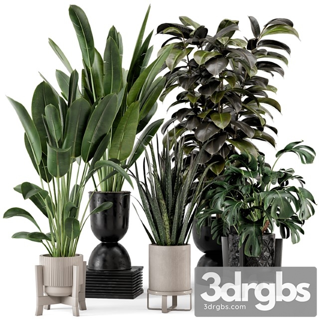 Indoor plants in ferm living bau pot large – set 583 - thumbnail 1