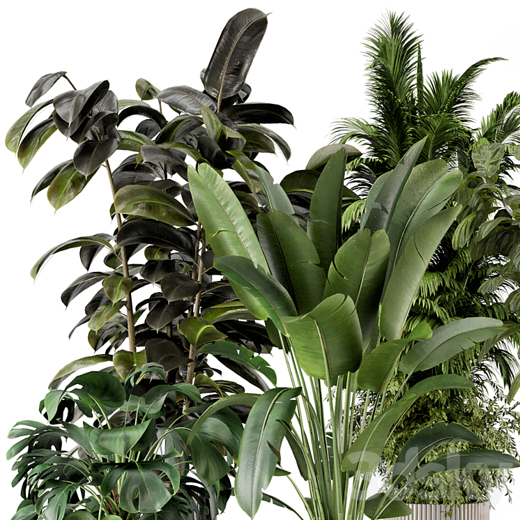Indoor Plants in Ferm Living Bau Pot Large – Set 734 3DS Max Model - thumbnail 2