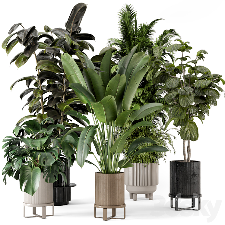 Indoor Plants in Ferm Living Bau Pot Large – Set 734 3DS Max - thumbnail 1