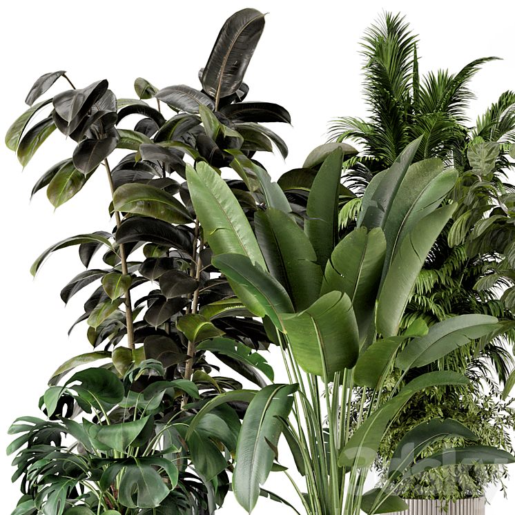 Indoor Plants in Ferm Living Bau Pot Large – Set 734 3DS Max - thumbnail 2