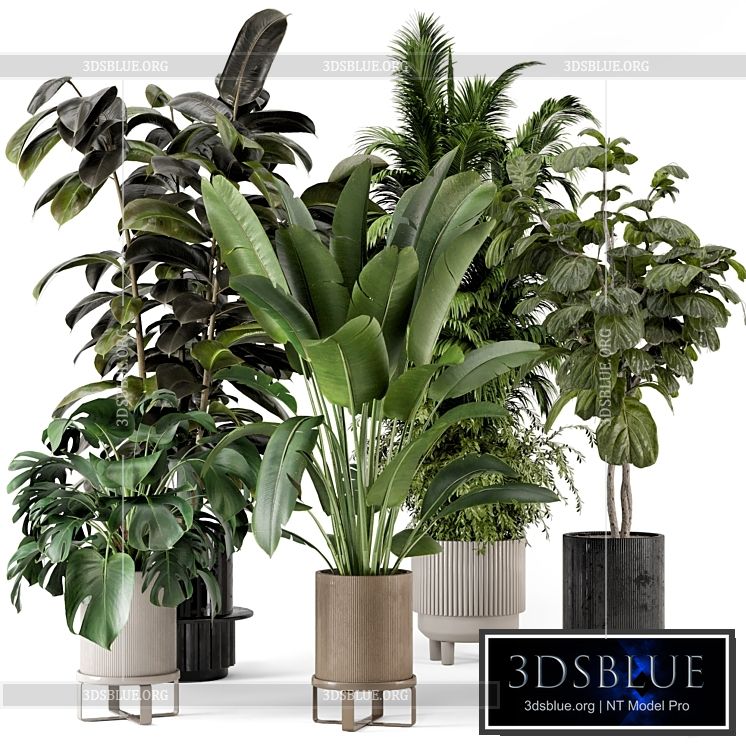 Indoor Plants in Ferm Living Bau Pot Large – Set 734 3DS Max - thumbnail 3