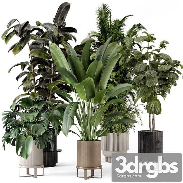 Indoor plants in ferm living bau pot large – set 734 - thumbnail 1