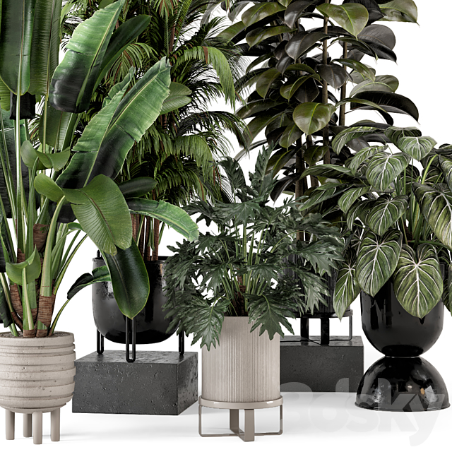 Indoor Plants in Ferm Living Bau Pot Large – Set 740 3DS Max Model - thumbnail 2