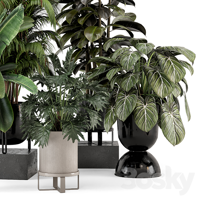 Indoor Plants in Ferm Living Bau Pot Large – Set 740 3DS Max Model - thumbnail 4