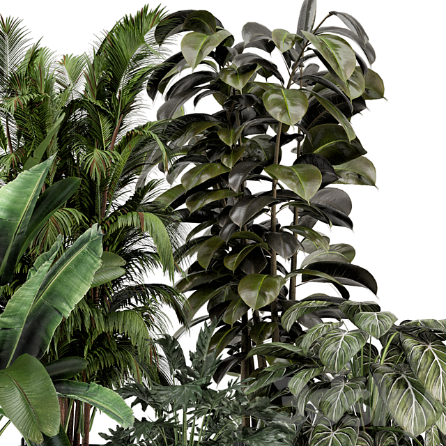 Indoor Plants in Ferm Living Bau Pot Large – Set 740 3DS Max Model - thumbnail 5