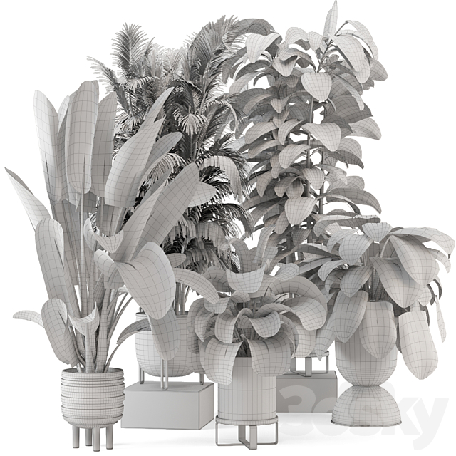 Indoor Plants in Ferm Living Bau Pot Large – Set 740 3DS Max Model - thumbnail 7