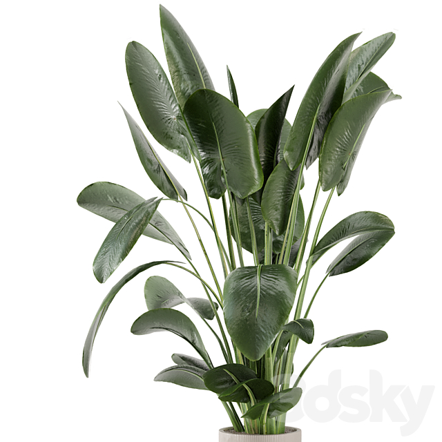 Indoor Plants in Ferm Living Bau Pot Large – Set 765 3DS Max Model - thumbnail 3