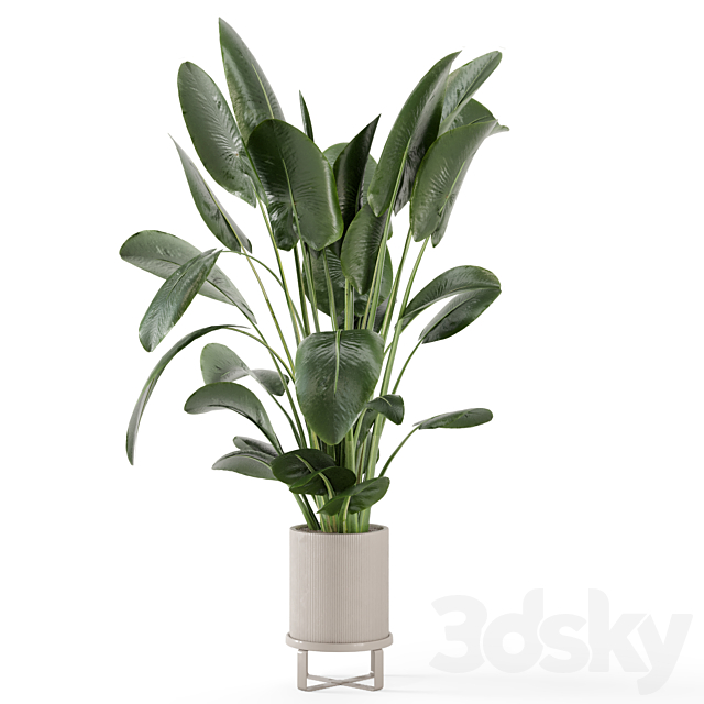 Indoor Plants in Ferm Living Bau Pot Large – Set 765 3DS Max Model - thumbnail 5