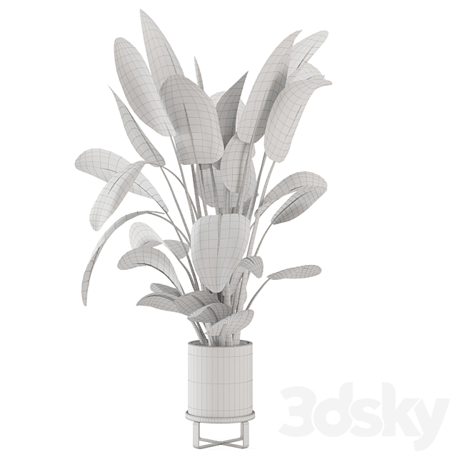 Indoor Plants in Ferm Living Bau Pot Large – Set 765 3DS Max Model - thumbnail 6