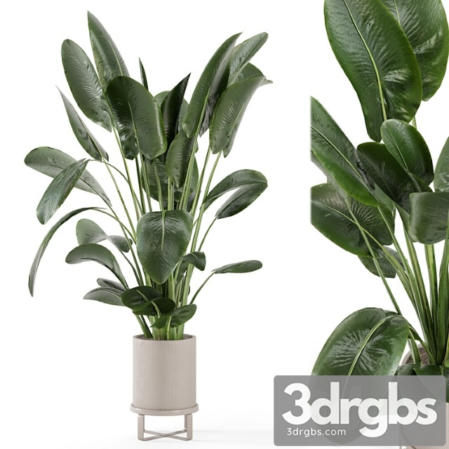 Indoor plants in ferm living bau pot large – set 765 - thumbnail 1