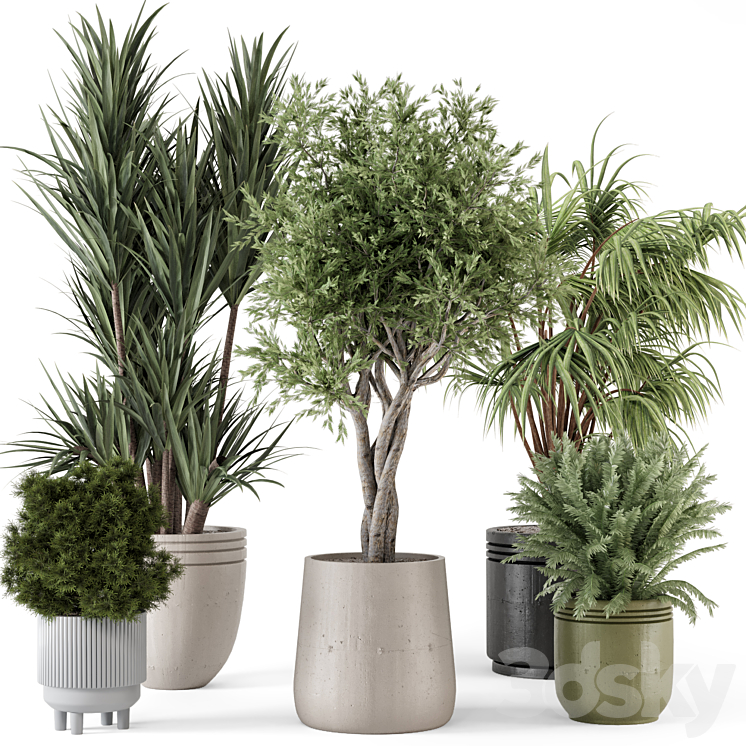Indoor Plants in Ferm Living Bau Pot Large – Set 817 3DS Max Model - thumbnail 1