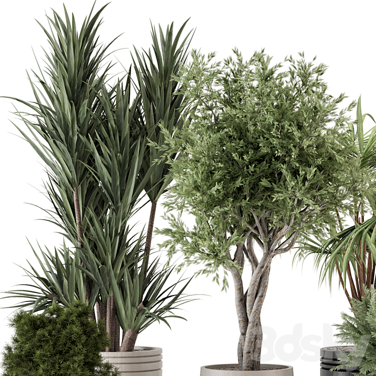 Indoor Plants in Ferm Living Bau Pot Large – Set 817 3DS Max Model - thumbnail 2