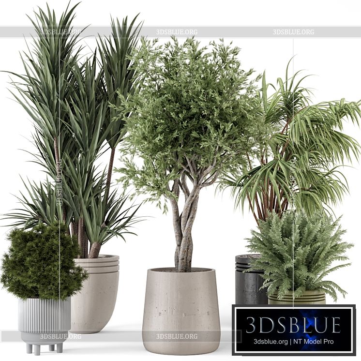 Indoor Plants in Ferm Living Bau Pot Large – Set 817 3DS Max - thumbnail 3