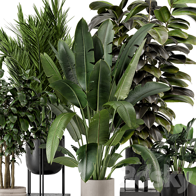 Indoor Plants in Ferm Living Bau Pot Large – Set 879 3DS Max Model - thumbnail 2