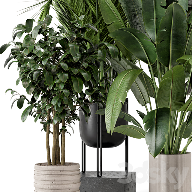 Indoor Plants in Ferm Living Bau Pot Large – Set 879 3DS Max Model - thumbnail 3