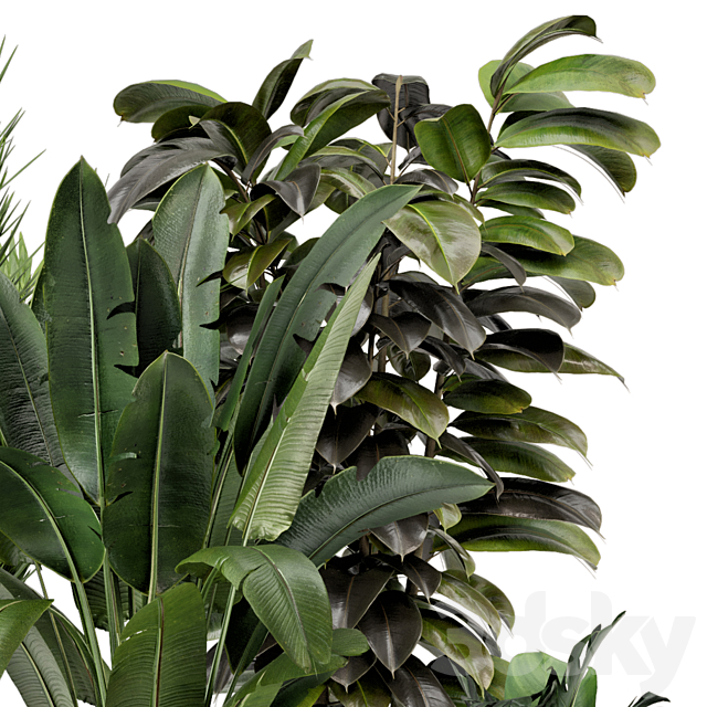 Indoor Plants in Ferm Living Bau Pot Large – Set 879 3DS Max Model - thumbnail 4