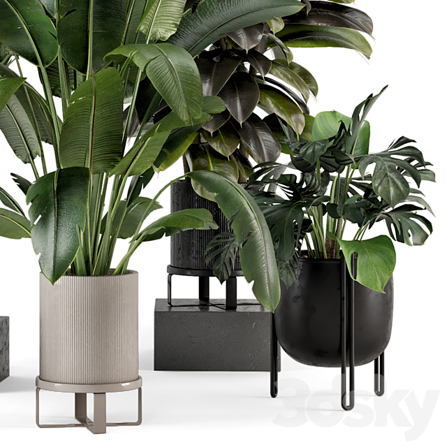 Indoor Plants in Ferm Living Bau Pot Large – Set 879 3DS Max Model - thumbnail 6