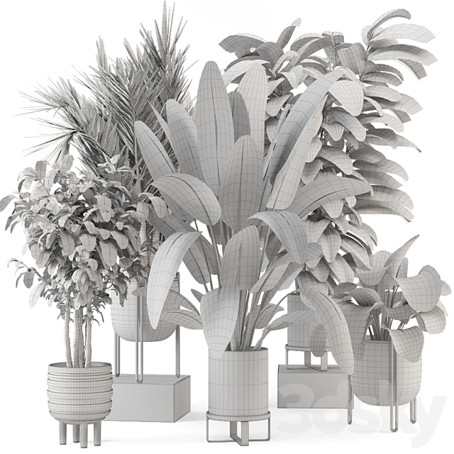 Indoor Plants in Ferm Living Bau Pot Large – Set 879 3DS Max Model - thumbnail 7