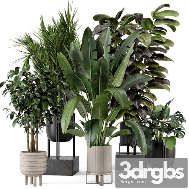 Indoor plants in ferm living bau pot large – set 879 - thumbnail 1