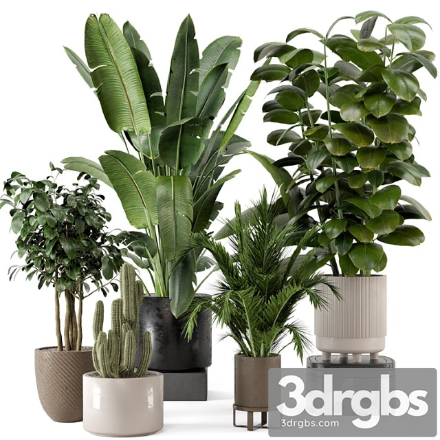 Indoor plants in ferm living bau pot large – set 926 - thumbnail 1