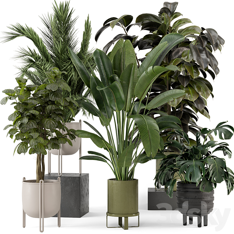 Indoor Plants in Ferm Living Bau Pot Large – Set 976 3DS Max Model - thumbnail 3