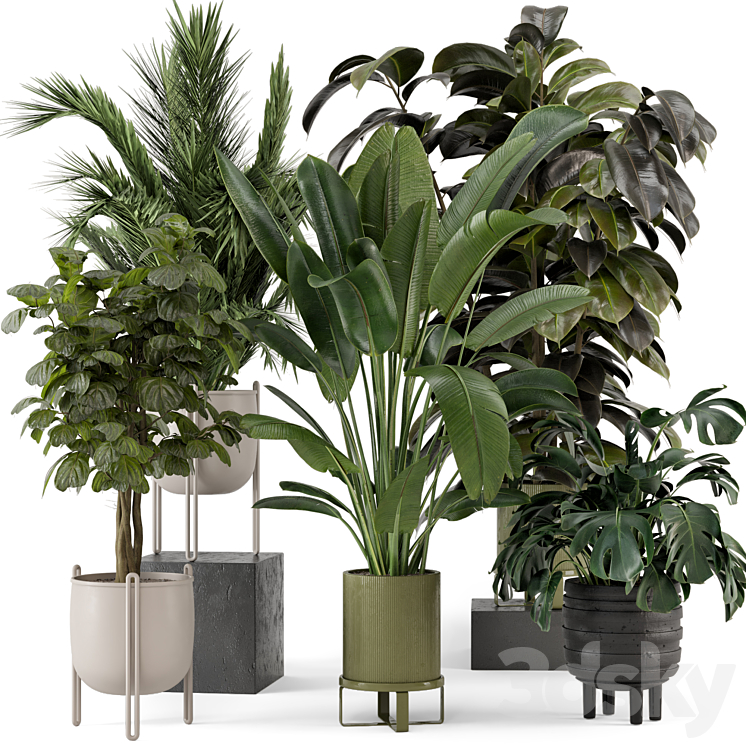 Indoor Plants in Ferm Living Bau Pot Large – Set 976 3DS Max - thumbnail 1