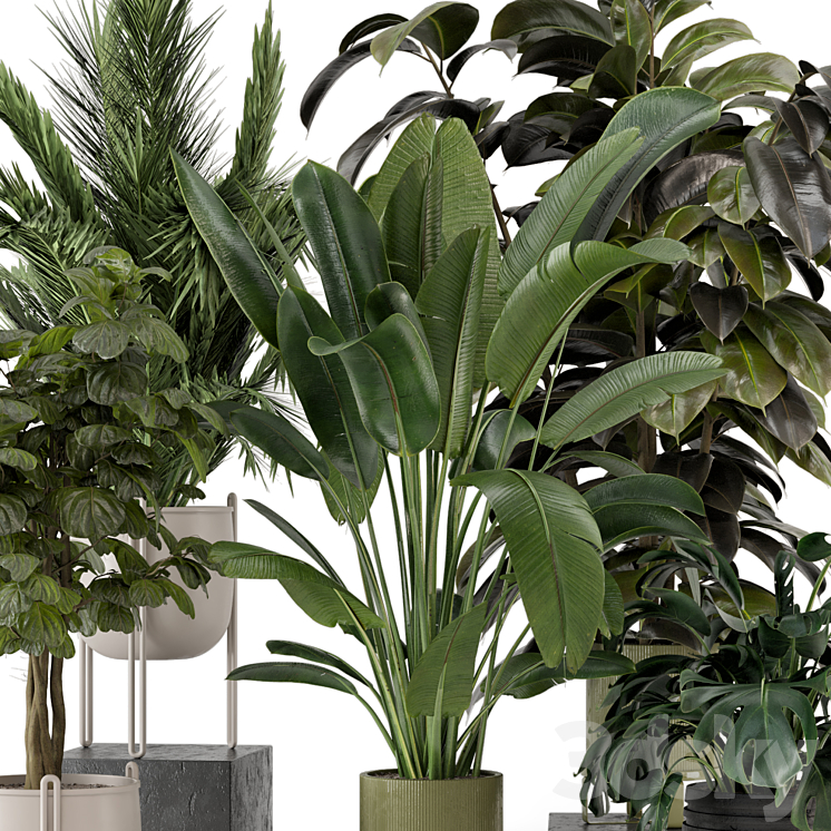 Indoor Plants in Ferm Living Bau Pot Large – Set 976 3DS Max - thumbnail 2