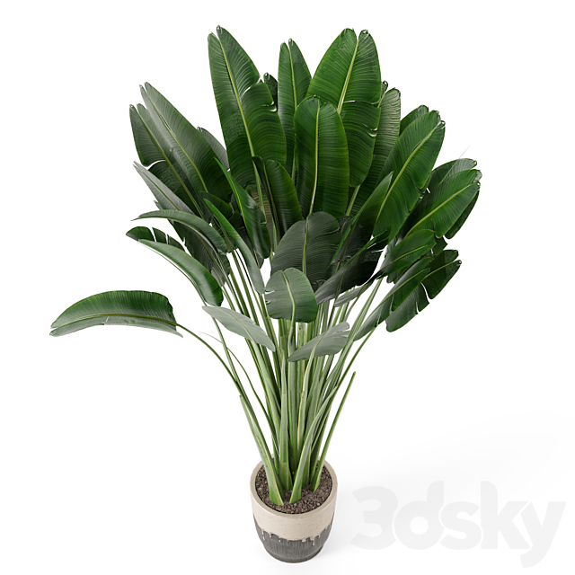 Indoor Plants In Handmade Glazed pot – Set 190 3DS Max Model - thumbnail 3