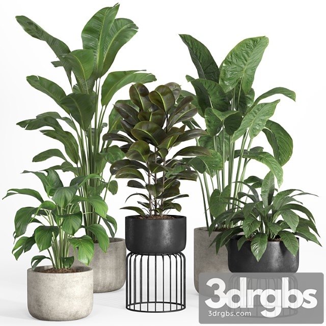 Indoor plants in metal and concrete pot-set 31 - thumbnail 1