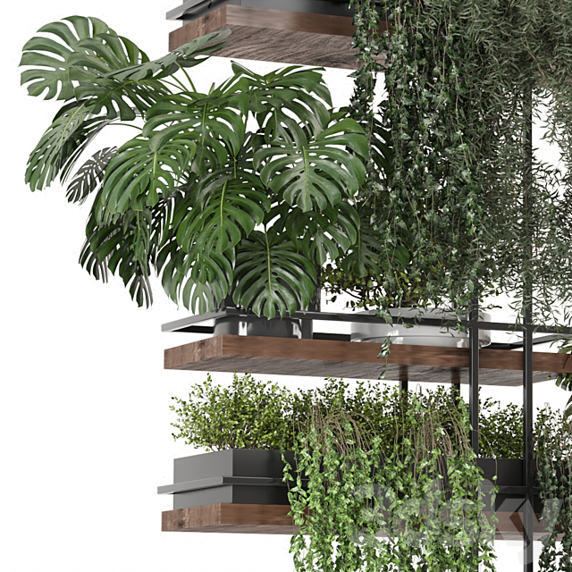 indoor plants in metal box _ Set hanging 1104 3ds Max - thumbnail 2