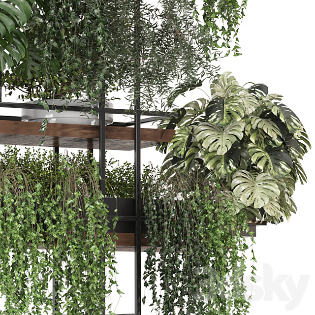 indoor plants in metal box _ Set hanging 1104 3ds Max - thumbnail 3