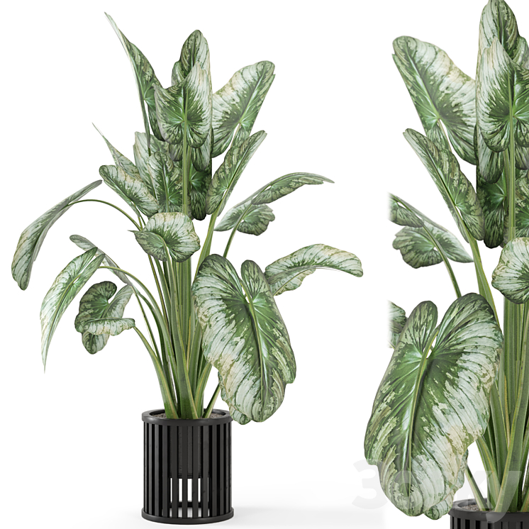 Indoor Plants in Metal Pot – Set 842 3DS Max Model - thumbnail 1