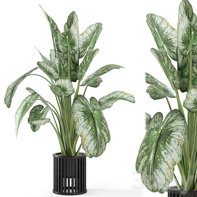 Indoor Plants in Metal Pot – Set 842 3DS Max - thumbnail 1