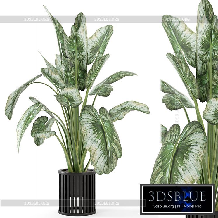 Indoor Plants in Metal Pot – Set 842 3DS Max - thumbnail 3