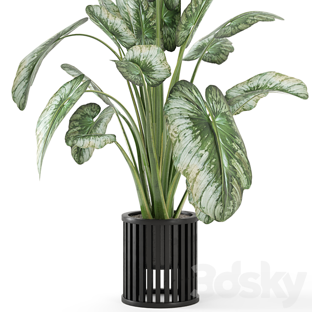 Indoor Plants in Metal Pot – Set 842 3DS Max Model - thumbnail 3