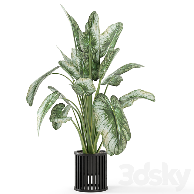 Indoor Plants in Metal Pot – Set 842 3DS Max Model - thumbnail 5