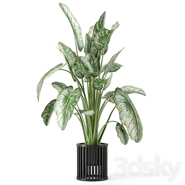 Indoor Plants in Metal Pot – Set 842 3DS Max Model - thumbnail 6