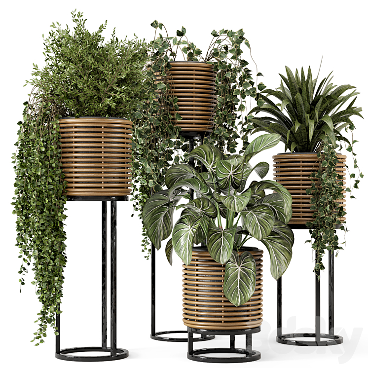 Indoor Plants in natural rattan Pot on Metal Base – Set 592 3DS Max Model - thumbnail 3