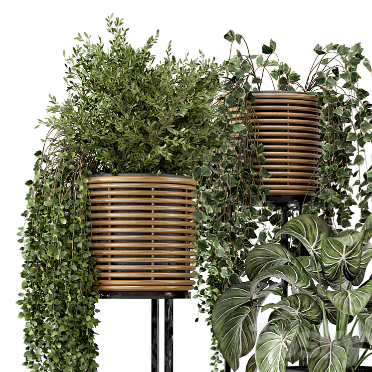 Indoor Plants in natural rattan Pot on Metal Base – Set 592 3DS Max - thumbnail 2