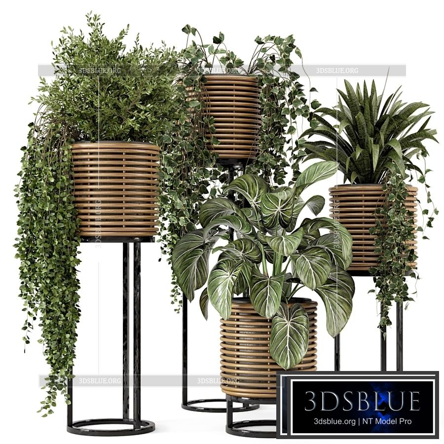 Indoor Plants in natural rattan Pot on Metal Base – Set 592 3DS Max - thumbnail 3