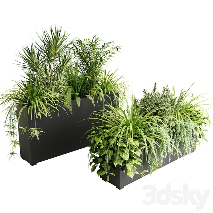 Indoor plants in outdoor boxes 3DS Max Model - thumbnail 1