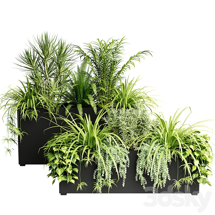 Indoor plants in outdoor boxes 3DS Max Model - thumbnail 2