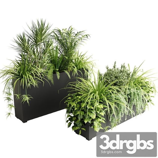 Indoor plants in outdoor boxes - thumbnail 1